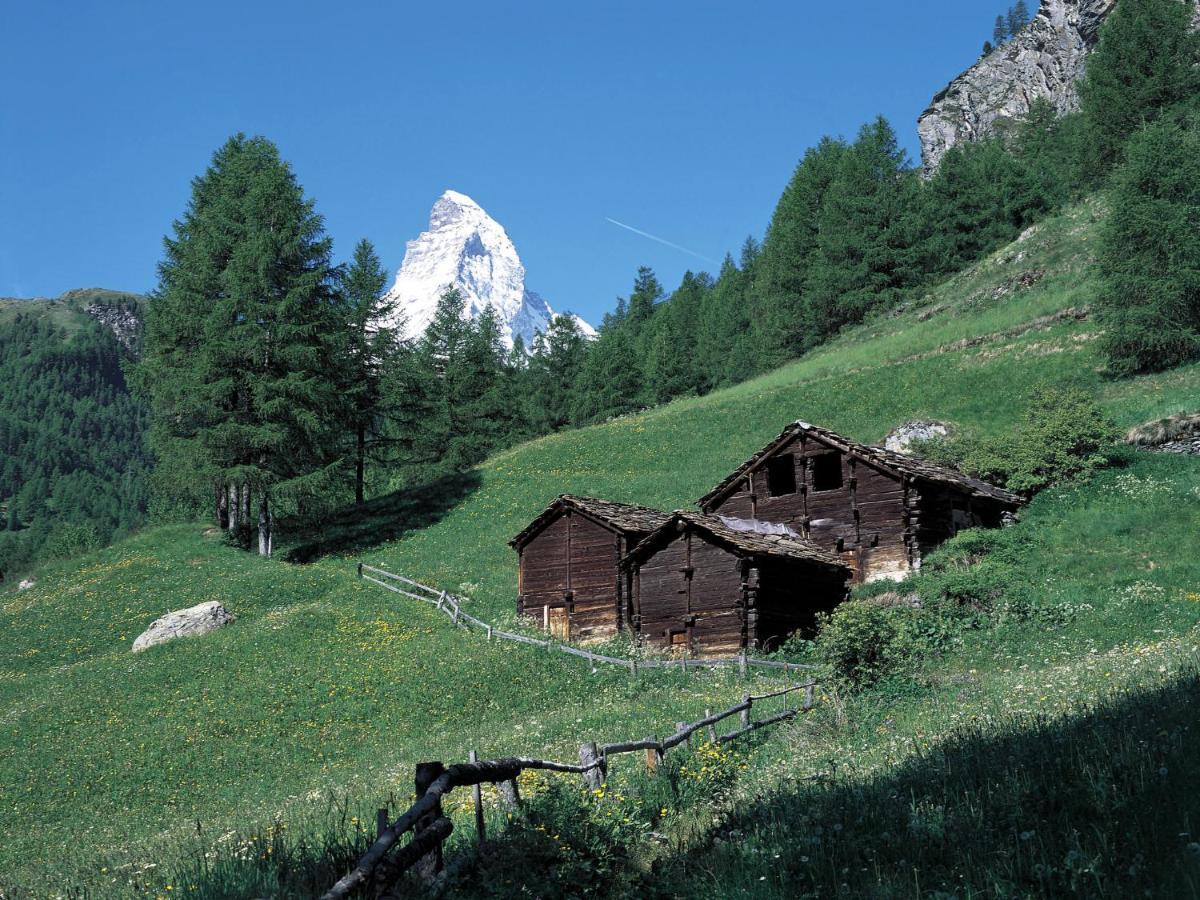 Apartment Zen Stecken A Zermatt Exterior foto